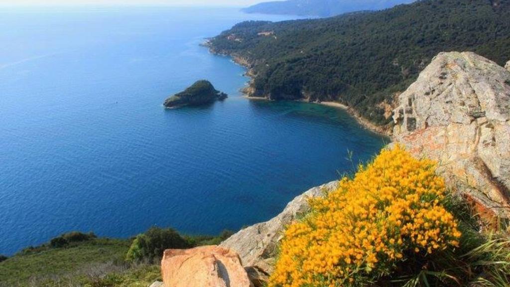 Camping Village Canapai Rio Marina Zewnętrze zdjęcie